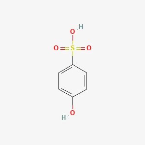 2026년 세계 10대 수지 제조업체