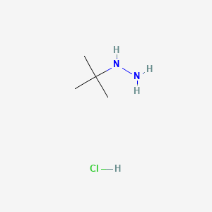 Tert-Butylhydrazine 하이드로 클로라이드 丨 CAS 7400-27-3